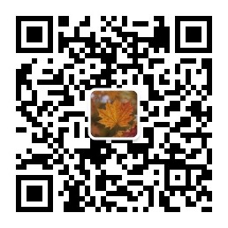 扫码关注公众-第一资源库