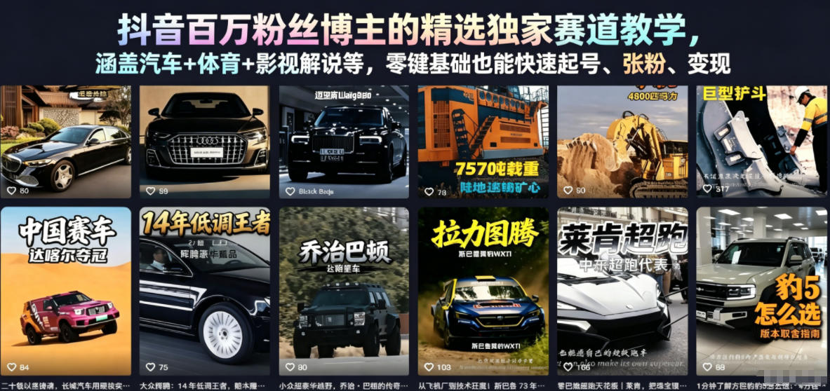 抖音百万粉丝博主的精选独家赛道教学,涵盖汽车+体育+影视解说等,零基础也能快速起号、涨粉、变现-第一资源库