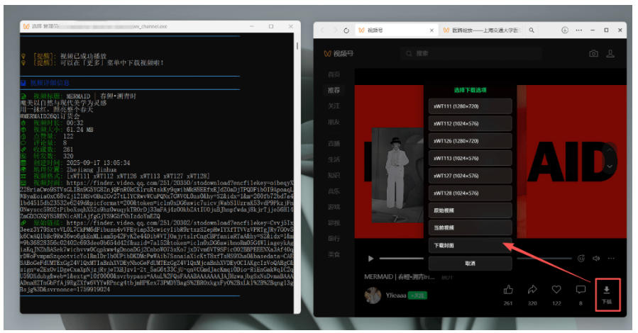 Github热门工具，视频号下载神器又来了！一键注入下载按钮，轻松下载，使用便捷wx_channel-第一资源库