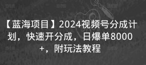 【蓝海项目】2024视频号分成计划,快速开分成,日爆单8000+,附玩法教程-第一资源库