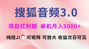搜狐音频挂ji3.0.可矩阵可放大,独家技术,稳定月入5000+【揭秘】-第一资源库