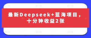 最新Deepseek+蓝海项目,十分钟收益2张-第一资源库