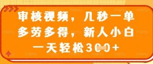 最新审核视频,几秒一单,多劳多得,新人小白一天轻松3张【揭秘】-第一资源库