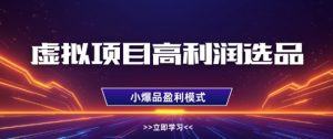 虚拟项目高利润选品方法,做好单店利润1W+,可多店倍增利润-第一资源库