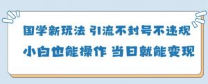 国学新玩法,引流不封号不违规小白也能操作,当日就能变现-第一资源库