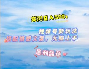微信视频号最新玩法,表情包搭配情感文案,2分钟一条原创作品,简单好上手,轻松日入几张-第一资源库