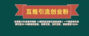 【0撸项目互推引流创业粉】一个微信每天免费引流30-50精准创业粉,免费引流,当天见效,轻松变现几张-第一资源库