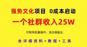 强势文化项目,一个社群收入25个W,0成本启动,可矩阵批量操作,原创详细实操教程-第一资源库