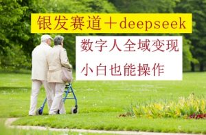 银发赛道+deepseek数字人全域变现,小白也能操作-第一资源库