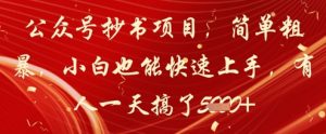 公众号抄书项目,简单粗暴,小白也能快速上手,有人一天搞了1k+-第一资源库