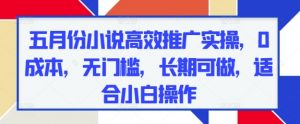 五月份小说高效推广实操,0成本,无门槛,长期可做,适合小白操作-第一资源库