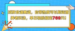 减肥食谱赛道,自带热度可长期运营,养老玩法,单日轻松搞定769-第一资源库
