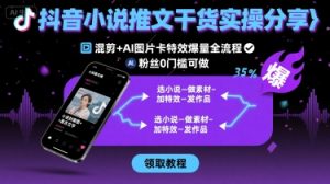 抖音小说推文干货实操分享,混剪+AI图片卡特效爆量全流程,0粉丝0门槛可做-第一资源库
