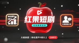 红果短剧拉新大佬爆单经验分享之如何提高短剧转化,这样做,短剧拉新转化直接提升5倍以上-第一资源库