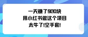 一天挣了9张用小红书做这个项目太牛了,空手套-第一资源库