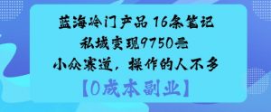 蓝海冷门产品:16条笔记私域变现9750米小众赛道,操作的人不多-第一资源库