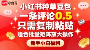 小红书种草豆包,一条评论0.5,只需复制粘贴,适合批量矩阵放大操作,新手小白福利-第一资源库
