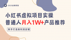 小红书虚拟项目实操指南,普通人月入1W+产品推荐,直接抄-第一资源库
