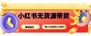 小红书无货源带货项目,简单无脑,新人小白日入多张-第一资源库