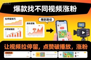 爆款找不同视频涨粉，让视频拉停留，实现点赞，破播放，涨粉-第一资源库