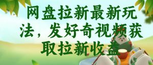 网盘拉新最新玩法,发好奇视频获取拉新收益,抖音收藏家玩法-第一资源库