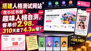 搭建人格测试网站在小红书做趣味人格自测，客单价2.98，310天卖了4.3w单！-第一资源库